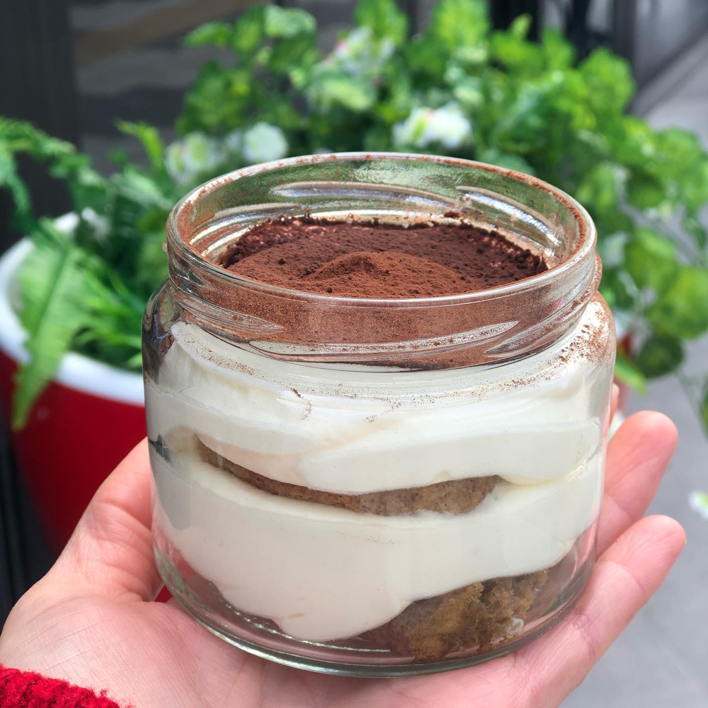 Tiramisu